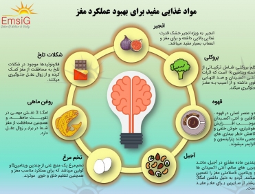 مواد غذایی مفید برای بهبود عملکر مغز 