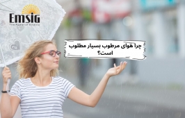 چرا هوای مرطوب بسیار مطلوب است؟ 