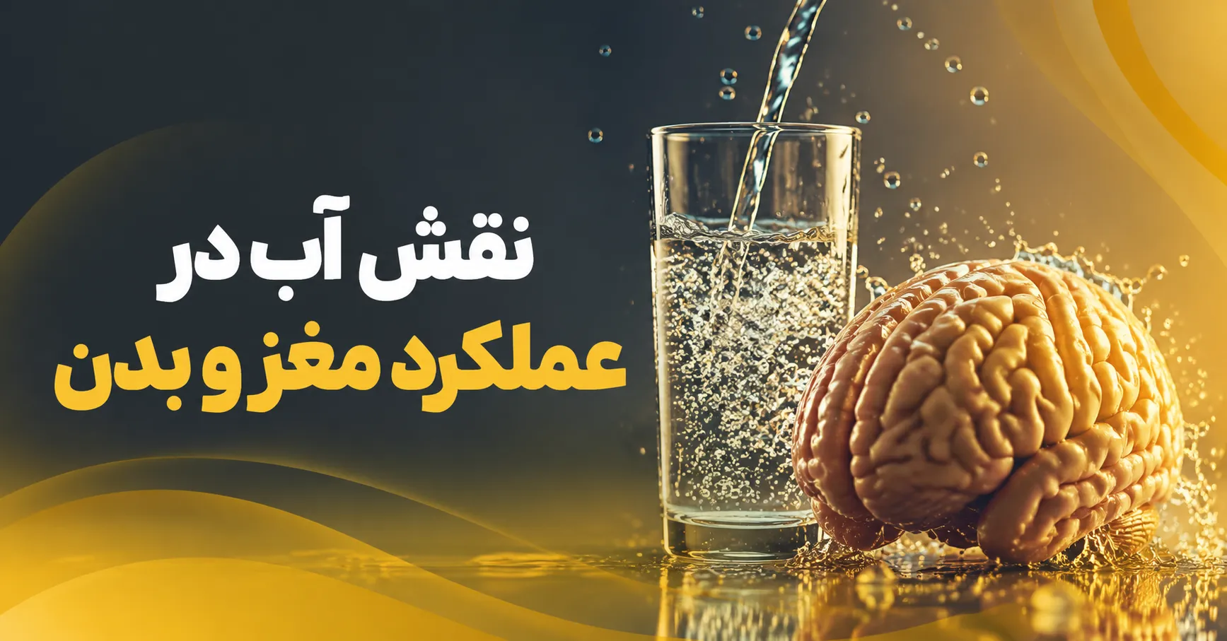 نقش آب در عملکرد مغز و بدن